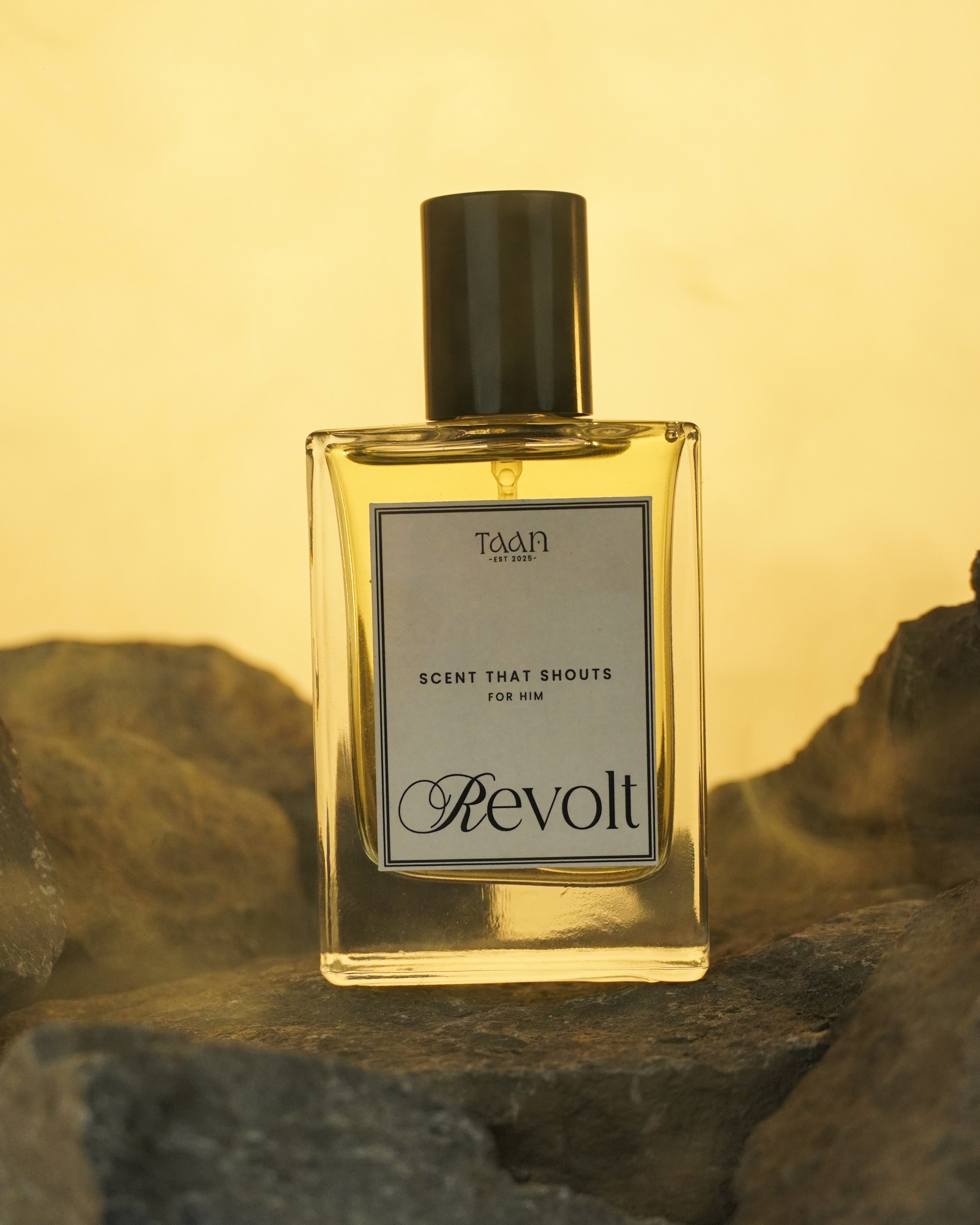 Revolt