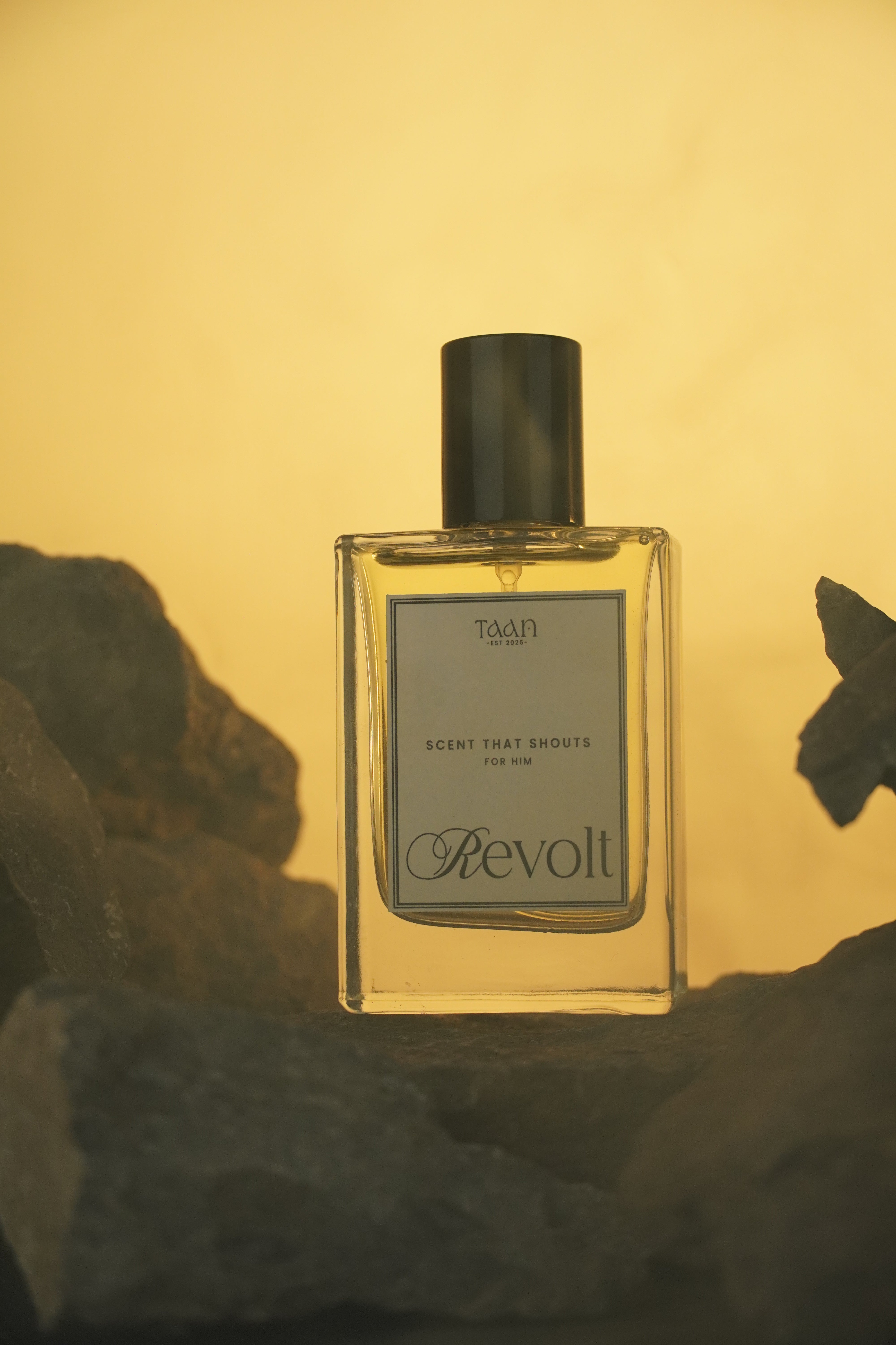 Revolt