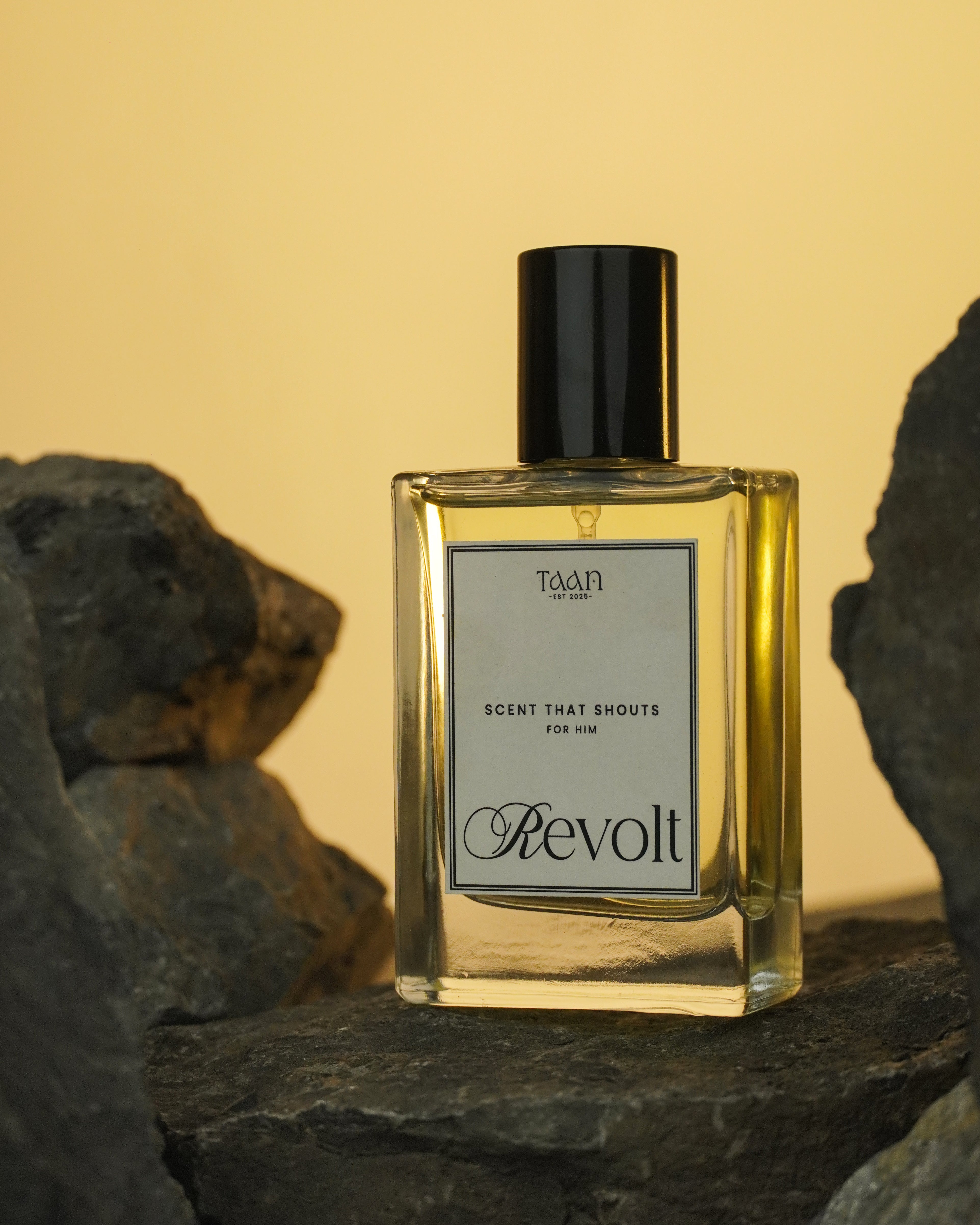 Revolt