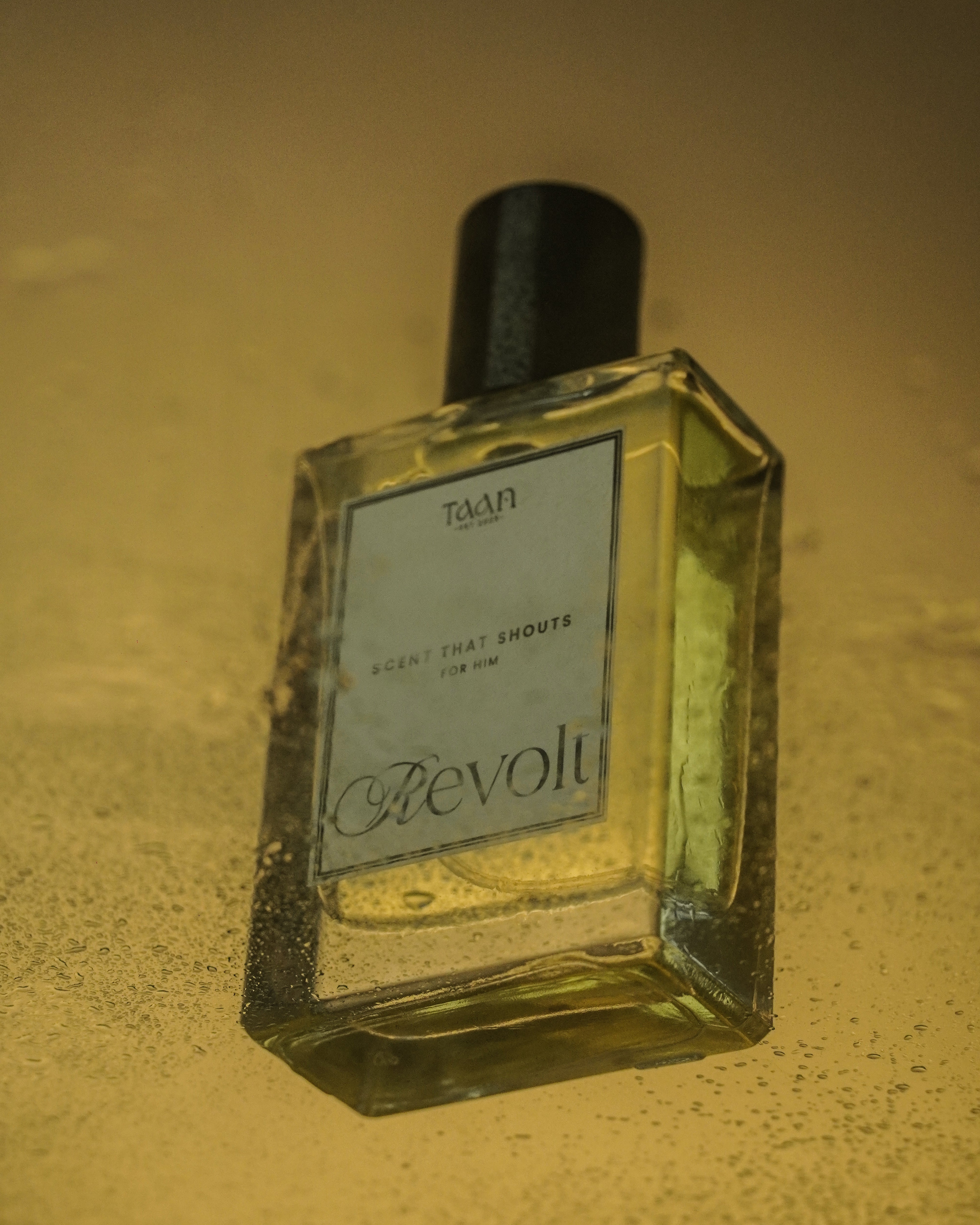 Revolt